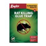 KINGTOX TAT KILLIN GLUE TRAP