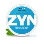 ZYN COOL COOL MINT MEDIUM 2DOT 6MG